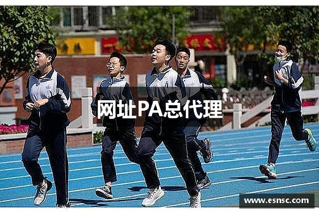 网址PA总代理